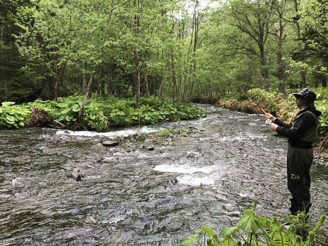 'Tenkara’ is traditional Japanese fly fishing_Hokkaido Private Adventure