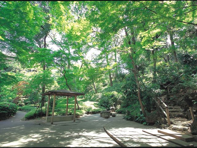 緑あふれる日本庭園_シェラトン都ホテル東京