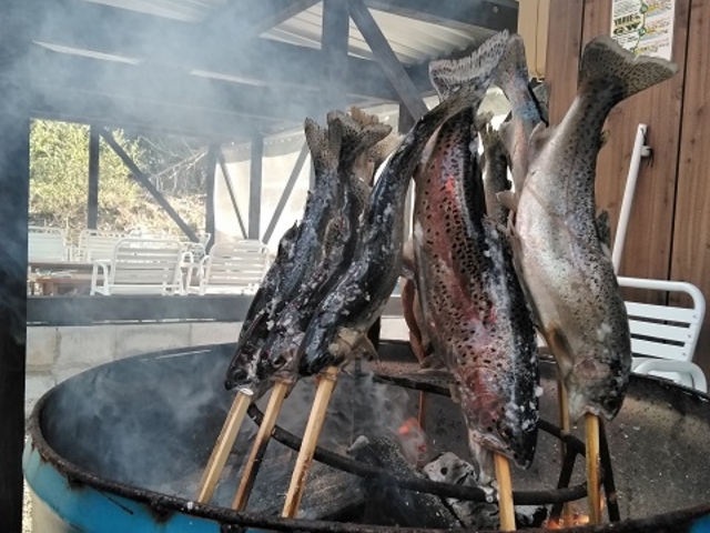 飛騨高山釣池 鱒蔵
