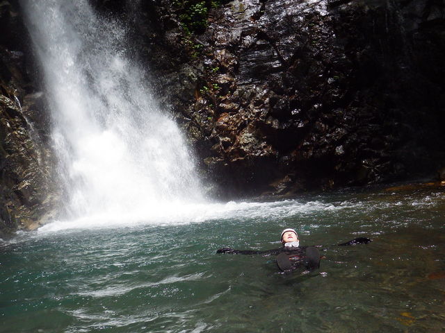Nikko Jumbo