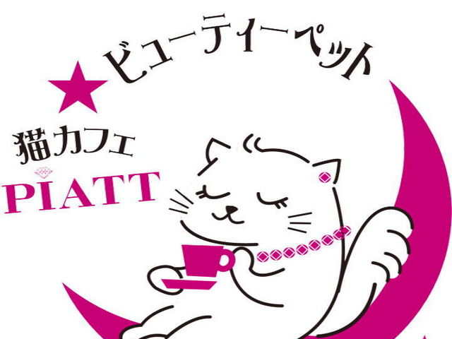 PIATTの写真1