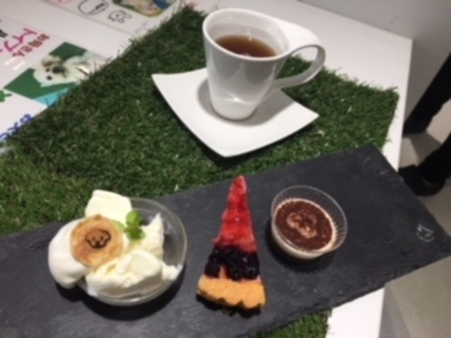 犬カフェ 猫カフェ はちゅう類カフェ アニマルカフェMILK