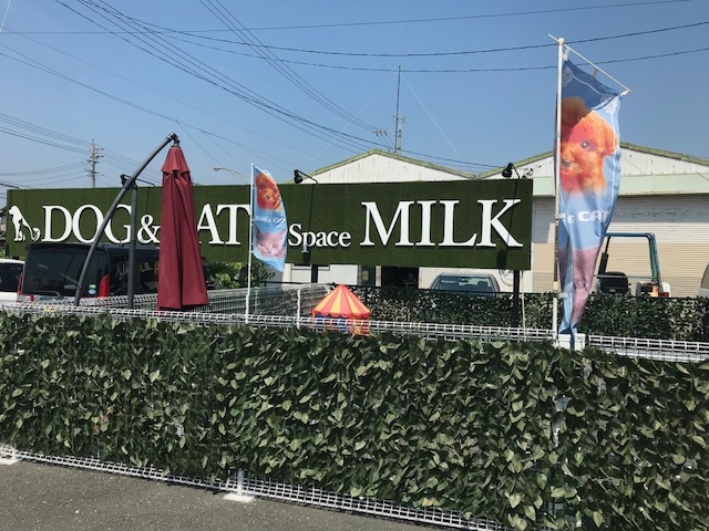 犬カフェ 猫カフェ はちゅう類カフェ アニマルカフェMILK