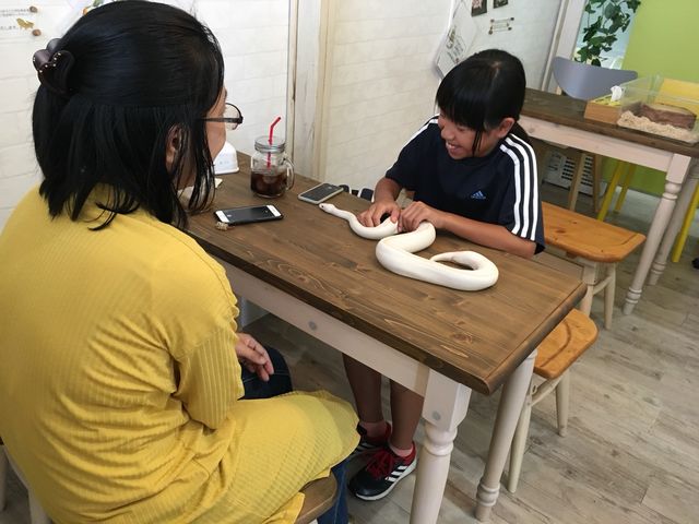 へびとのふれあい_犬カフェ 猫カフェ はちゅう類カフェ アニマルカフェMILK