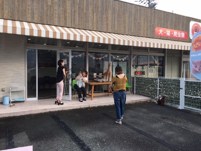 犬カフェ 猫カフェ はちゅう類カフェ アニマルカフェMILK