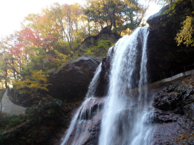 くぼた果樹園
