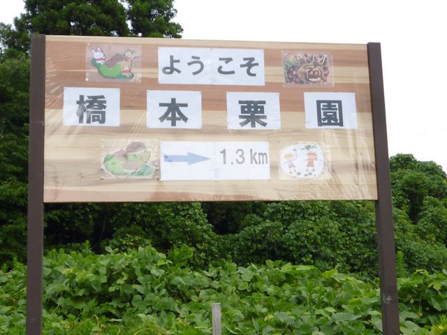 橋本栗園