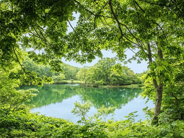 ドッコ沼_中央第1リフト