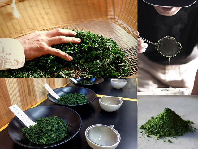 京抹茶 孫右ヱ門