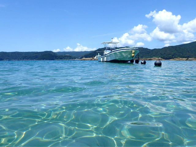 美しいプライベートビーチ。Beautiful private beach._竜串観光振興会 マリンクラブジョイ