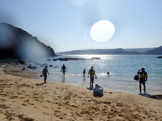 夕方の美しい浜辺Beautiful afternoon beach _竜串観光振興会 マリンクラブジョイ