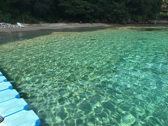 プライベートビーチ。Private beach._竜串観光振興会 マリンクラブジョイ