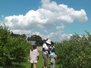 BlueberryFarmかわさとの写真2