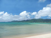 石垣の塩の写真2