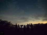 Star Forestの写真2