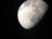 Star Forestの写真3