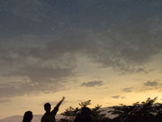 Star Forestの写真4