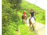 みつば牧場の写真3