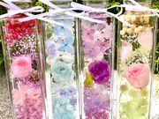 petit efの写真3