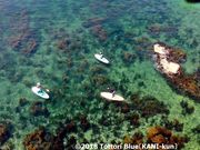 鳥取BLUEの写真4