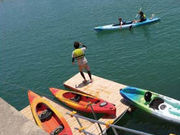 徳島新鮮なっとく市の写真2