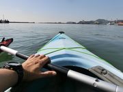 徳島新鮮なっとく市の写真3