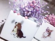 atelier koto華の写真2