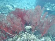 ヤマハタマリンサービスあまんの写真4