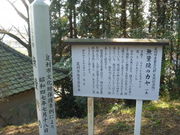 無量院のカヤの写真1