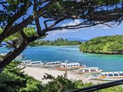 まりんはうすぐるくんの写真4