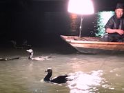 筑後川activity川の民の写真3