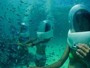 セブンオーシャンズクラブの写真3
