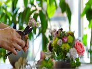 TOKOLO Flower&Greenの写真2