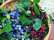 Cafe風楽里の写真3