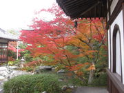 慈氏院(だるま堂)の写真3