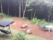 ドローンリゾート南熱海の写真3