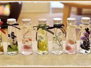 natural potの写真3