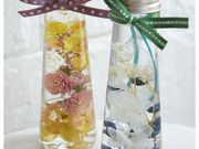 natural potの写真4