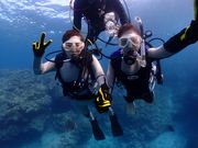 Little Cape Diving Service(リトルケープ)の写真2