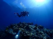 Little Cape Diving Service(リトルケープ)の写真3