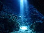 Little Cape Diving Service(リトルケープ)の写真4