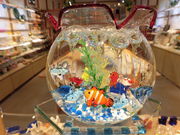 Southerly 石垣店の写真4