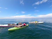 UMI to YAMAの写真2