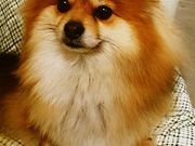 グラント網代店の写真2