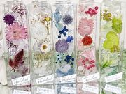 Peonyの写真2