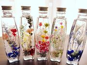 Peonyの写真3