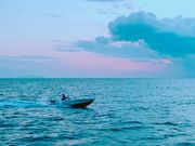 江の島マリーナの写真4