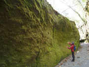Hokkaido Private Adventureの写真3