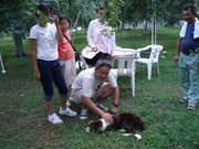 柴本農園の写真3