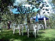 柴本農園の写真4